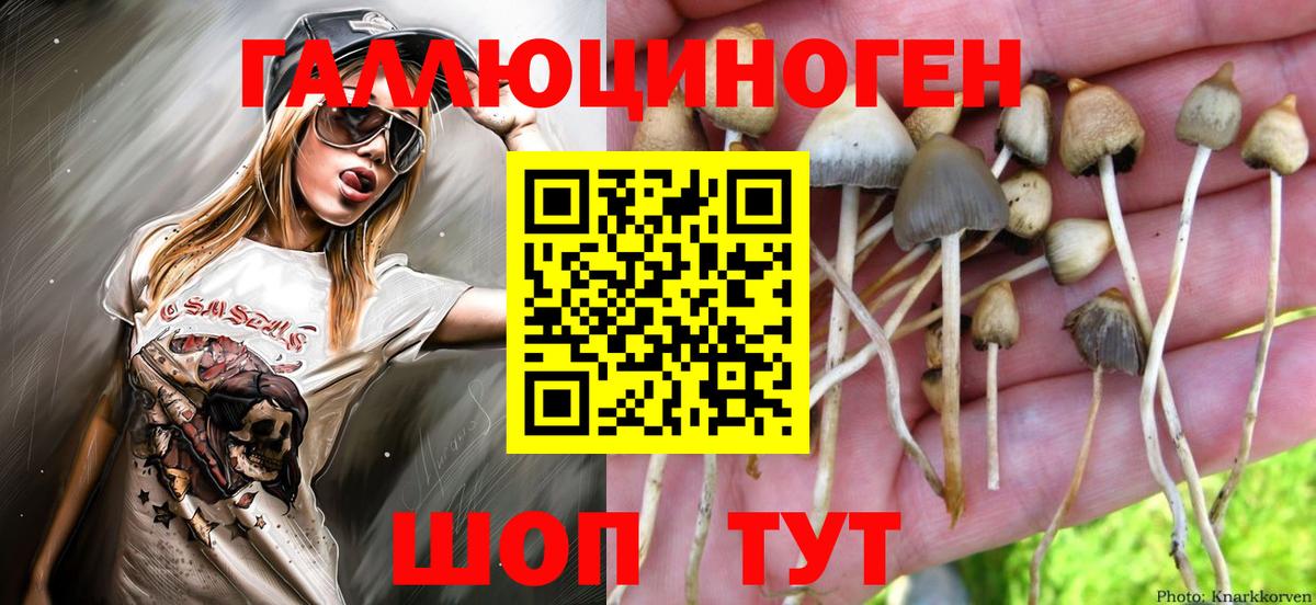 Галлюциногенные грибы Cubensis  как найти наркотики  Борисоглебск  Вход с VPN  Галлюциногенные грибы Psilocybine cubensis 