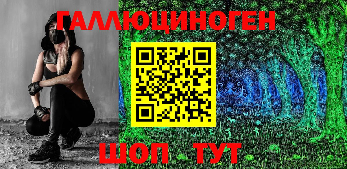 Псилоцибиновые грибы Psilocybine cubensis Борисоглебск